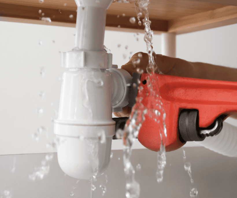 Leak Under Sink