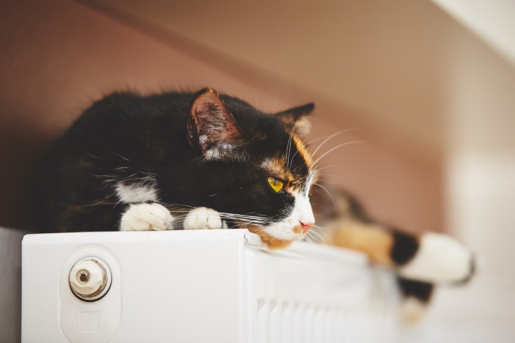 Understanding Radiators and Heating Systems